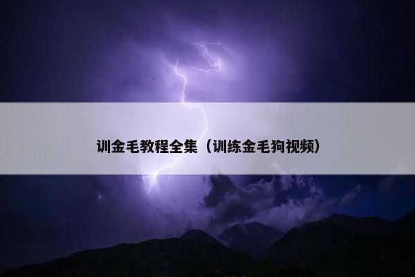 训金毛教程全集（训练金毛狗视频）