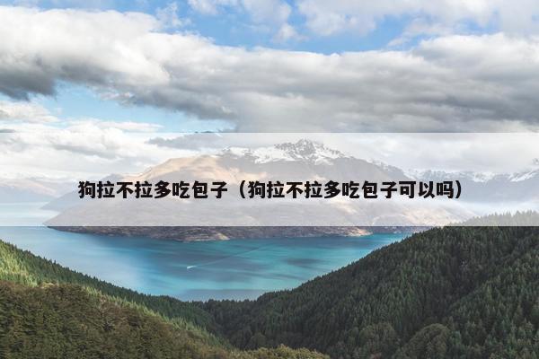 狗拉不拉多吃包子（狗拉不拉多吃包子可以吗）