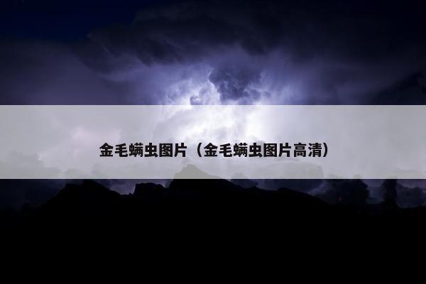 金毛螨虫图片（金毛螨虫图片高清）