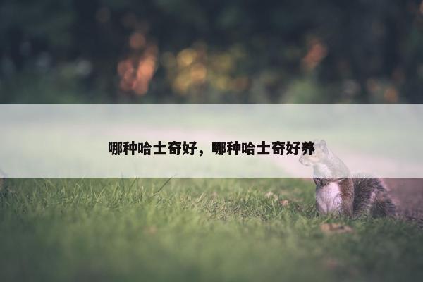 哪种哈士奇好，哪种哈士奇好养