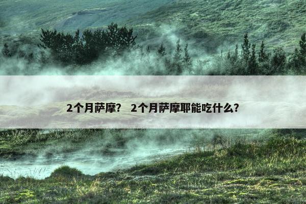 2个月萨摩？ 2个月萨摩耶能吃什么？