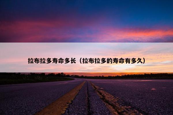 拉布拉多寿命多长（拉布拉多的寿命有多久）