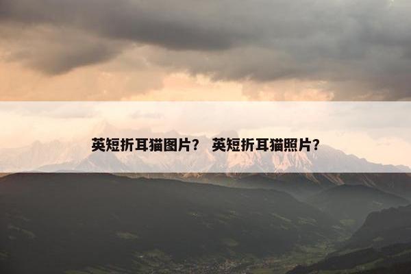 英短折耳猫图片？ 英短折耳猫照片？