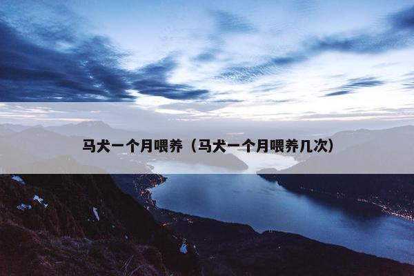 马犬一个月喂养（马犬一个月喂养几次）