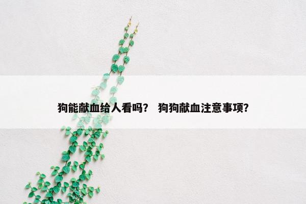 狗能献血给人看吗？ 狗狗献血注意事项？