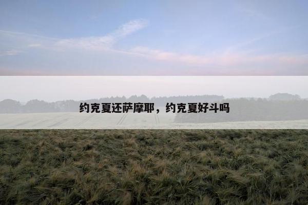 约克夏还萨摩耶，约克夏好斗吗