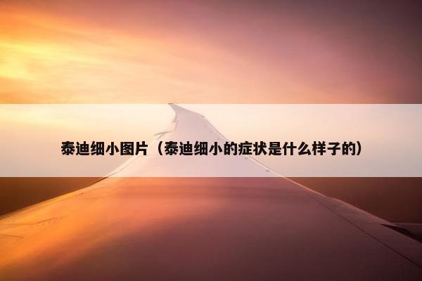 泰迪细小图片（泰迪细小的症状是什么样子的）
