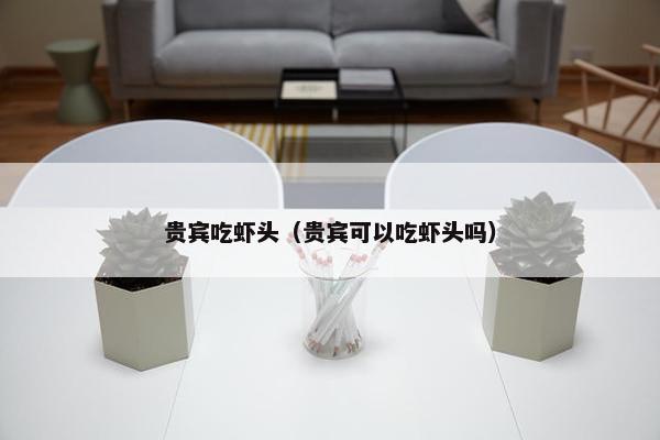 贵宾吃虾头（贵宾可以吃虾头吗）