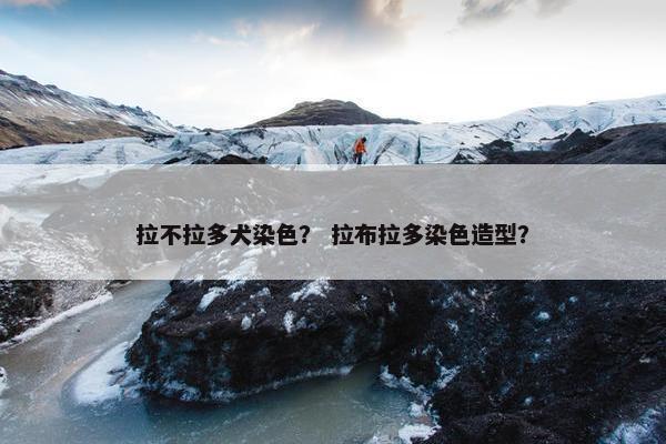 拉不拉多犬染色？ 拉布拉多染色造型？