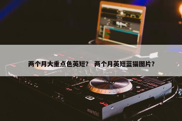 两个月大重点色英短？ 两个月英短蓝猫图片？