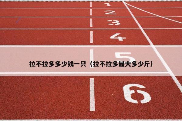 拉不拉多多少钱一只（拉不拉多最大多少斤）