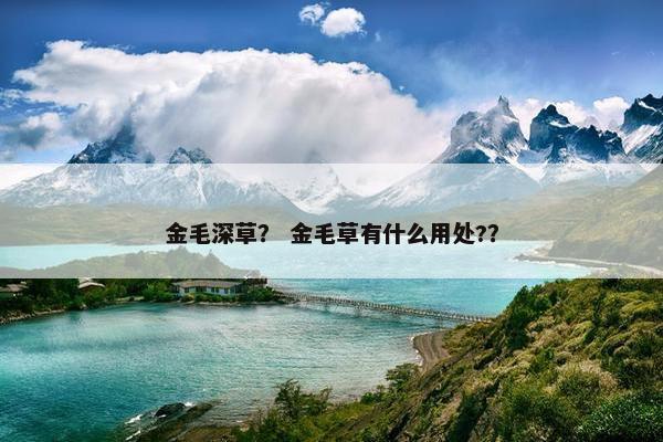 金毛深草？ 金毛草有什么用处?？