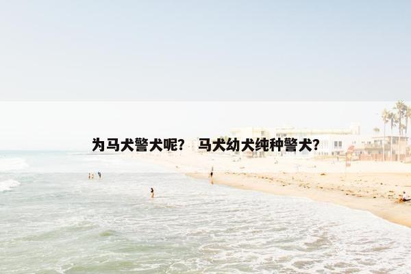 为马犬警犬呢？ 马犬幼犬纯种警犬？