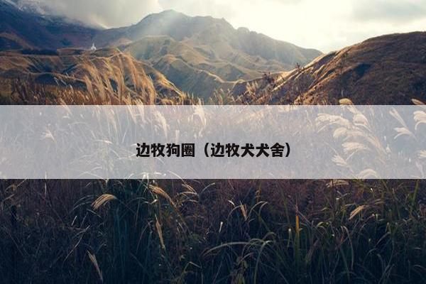 边牧狗圈（边牧犬犬舍）