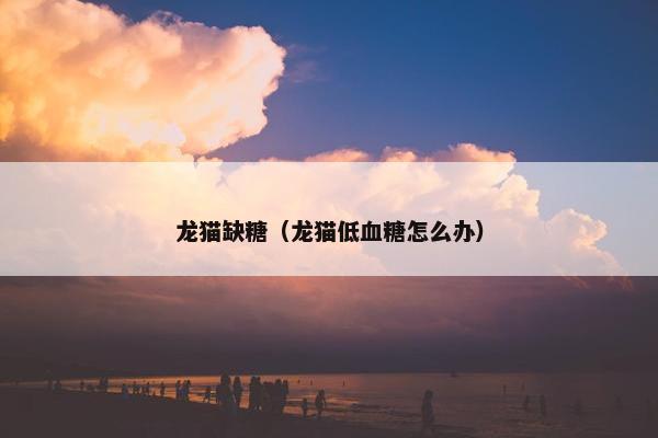 龙猫缺糖（龙猫低血糖怎么办）