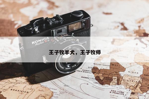 王子牧羊犬，王子牧师