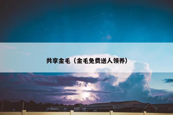共享金毛（金毛免费送人领养）