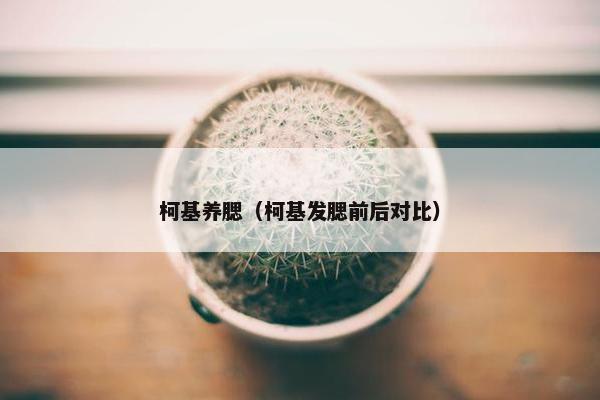 柯基养腮（柯基发腮前后对比）