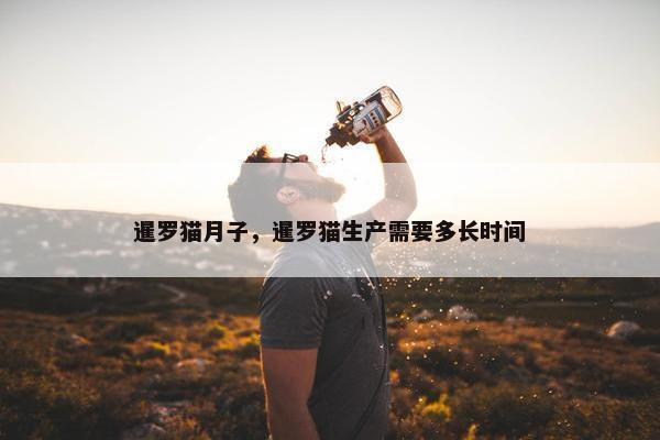 暹罗猫月子，暹罗猫生产需要多长时间