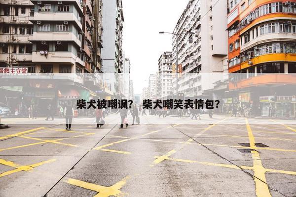 柴犬被嘲讽？ 柴犬嘲笑表情包？