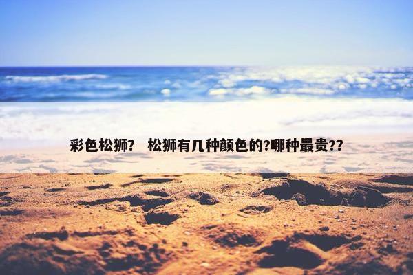 彩色松狮？ 松狮有几种颜色的?哪种最贵?？