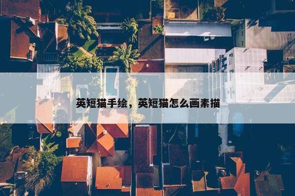 英短猫手绘，英短猫怎么画素描