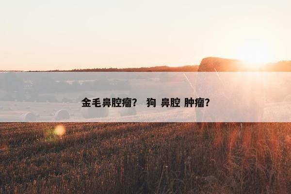 金毛鼻腔瘤？ 狗 鼻腔 肿瘤？