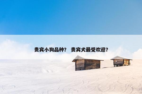 贵宾小狗品种？ 贵宾犬最受欢迎？