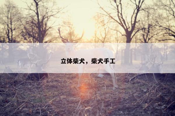 立体柴犬，柴犬手工