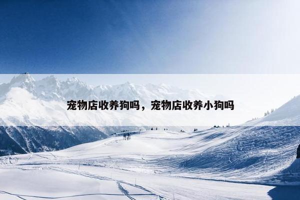 宠物店收养狗吗，宠物店收养小狗吗