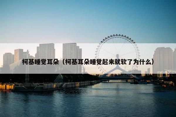 柯基睡觉耳朵（柯基耳朵睡觉起来就软了为什么）