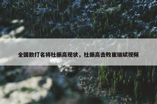 全国散打名将杜振高现状，杜振高击败崔瑞斌视频