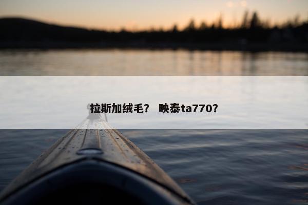 拉斯加绒毛？ 映泰ta770？