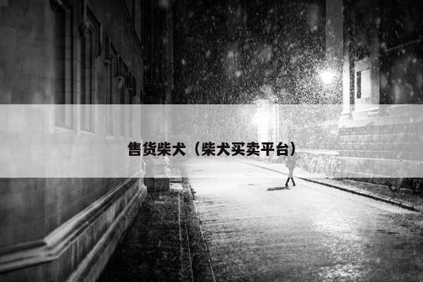 售货柴犬（柴犬买卖平台）