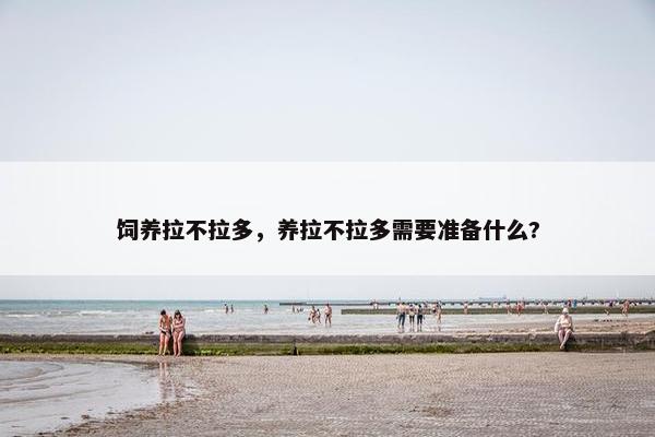 饲养拉不拉多，养拉不拉多需要准备什么?