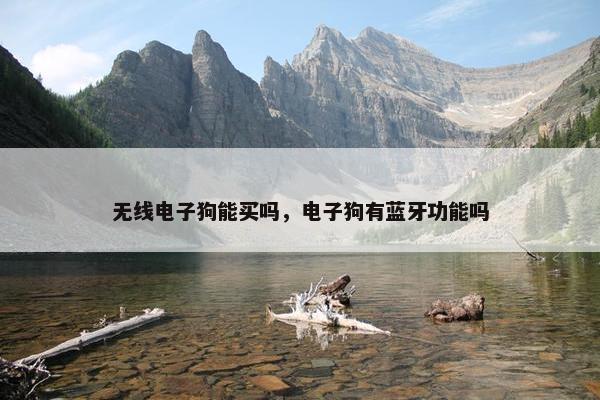 无线电子狗能买吗，电子狗有蓝牙功能吗