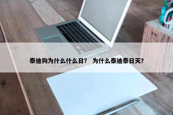 泰迪狗为什么什么日？ 为什么泰迪泰日天？