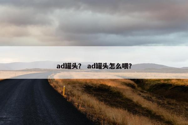 ad罐头？ ad罐头怎么喂？
