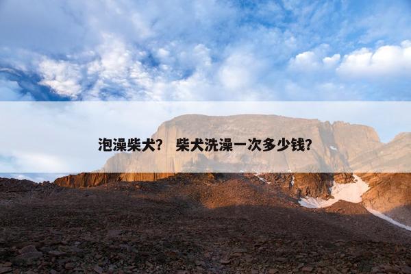 泡澡柴犬？ 柴犬洗澡一次多少钱？