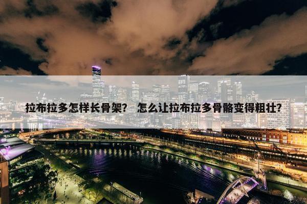 拉布拉多怎样长骨架？ 怎么让拉布拉多骨骼变得粗壮？