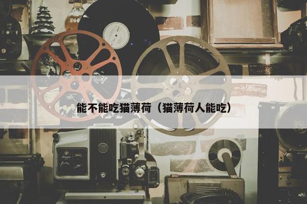 能不能吃猫薄荷（猫薄荷人能吃）
