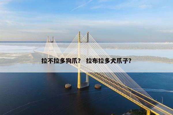 拉不拉多狗爪？ 拉布拉多犬爪子？