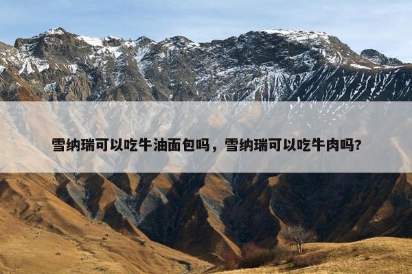 雪纳瑞可以吃牛油面包吗，雪纳瑞可以吃牛肉吗?