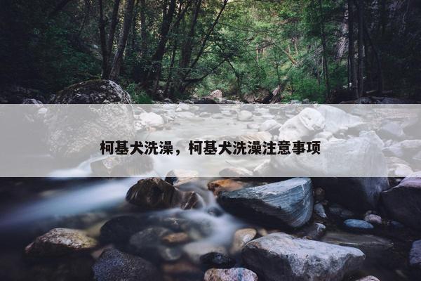 柯基犬洗澡，柯基犬洗澡注意事项