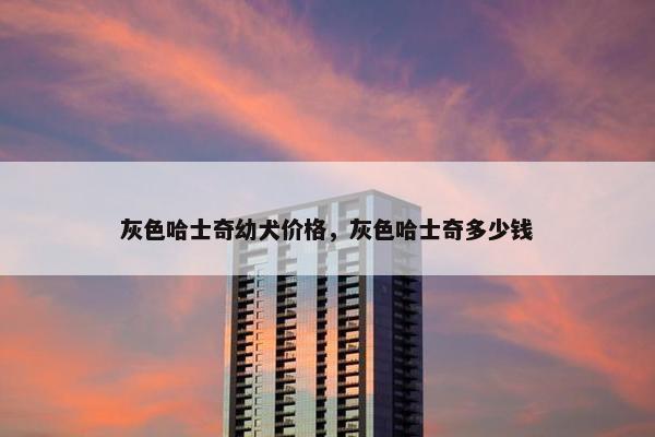 灰色哈士奇幼犬价格，灰色哈士奇多少钱
