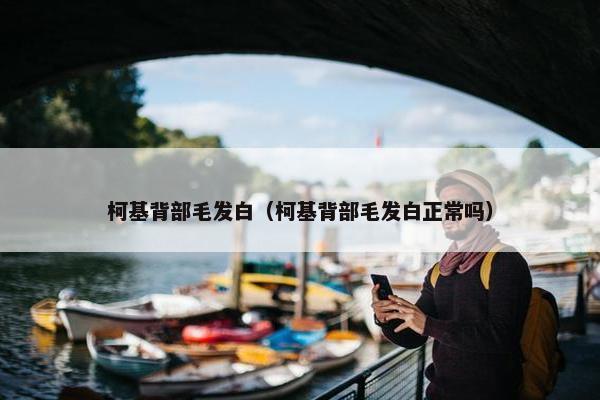 柯基背部毛发白（柯基背部毛发白正常吗）