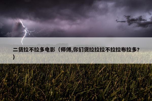 二货拉不拉多电影（师傅,你们货拉拉拉不拉拉布拉多?）