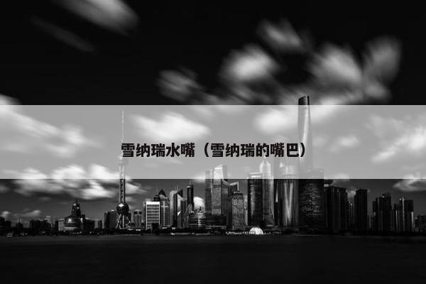 雪纳瑞水嘴（雪纳瑞的嘴巴）