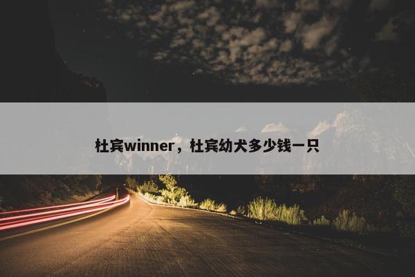 杜宾winner，杜宾幼犬多少钱一只