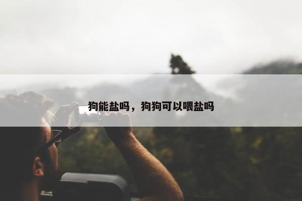 狗能盐吗，狗狗可以喂盐吗